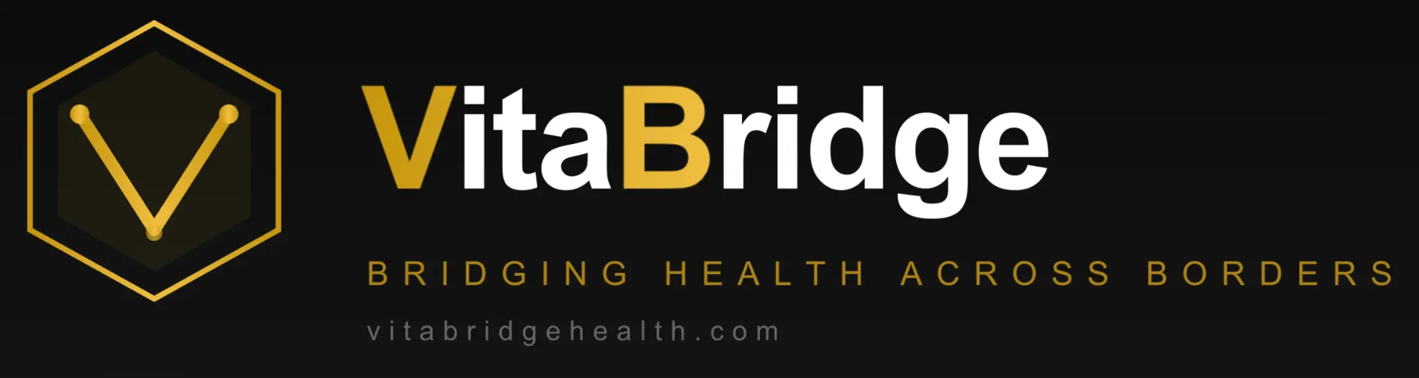 VitaBridge Logo